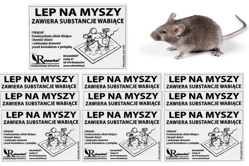 10 KS LEPIDLO LEPIDLO KLAPKA NA MYŠ HMYZ HMYZ PAVÚKY HMYZ 10 KS SADA