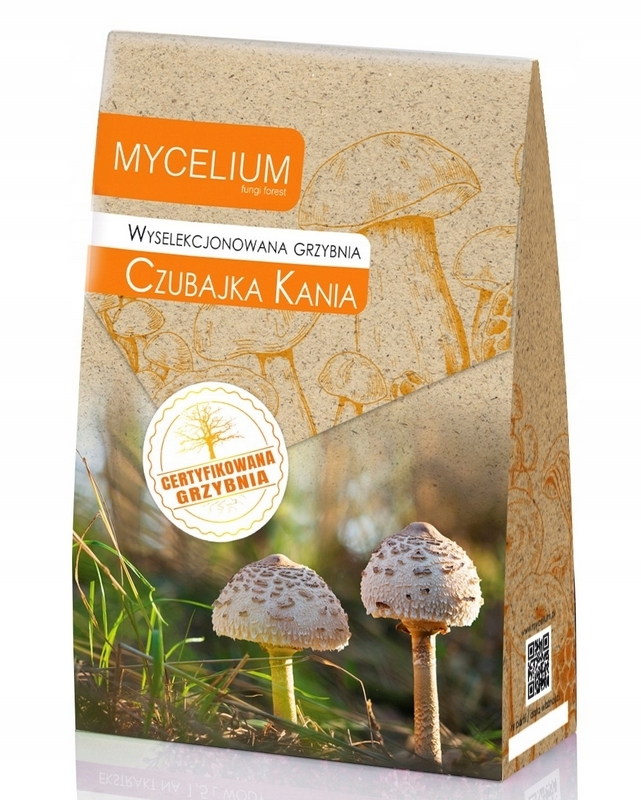 Mycelium mycelium mycelium 120 ml