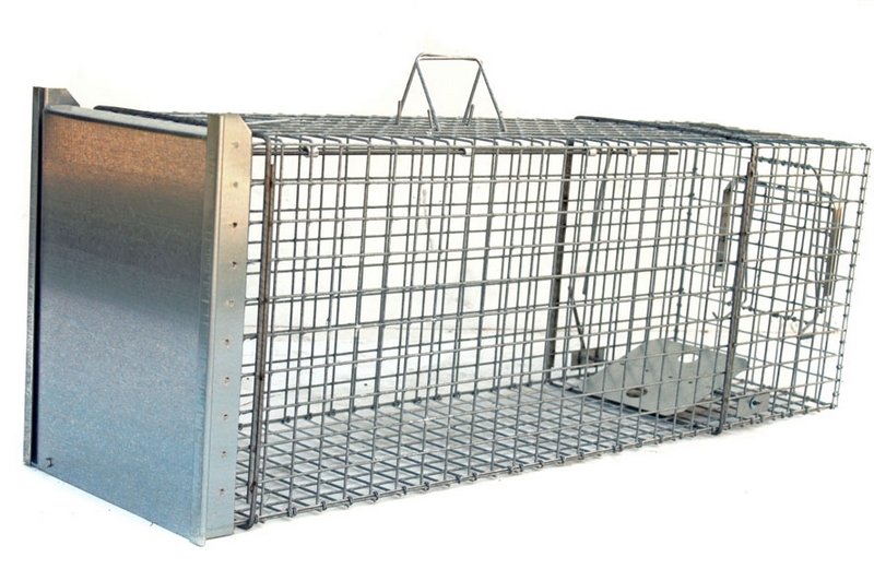 Pasca Green Paw proti mačkám, kunám, psom, vtákom a lesným zvieratám