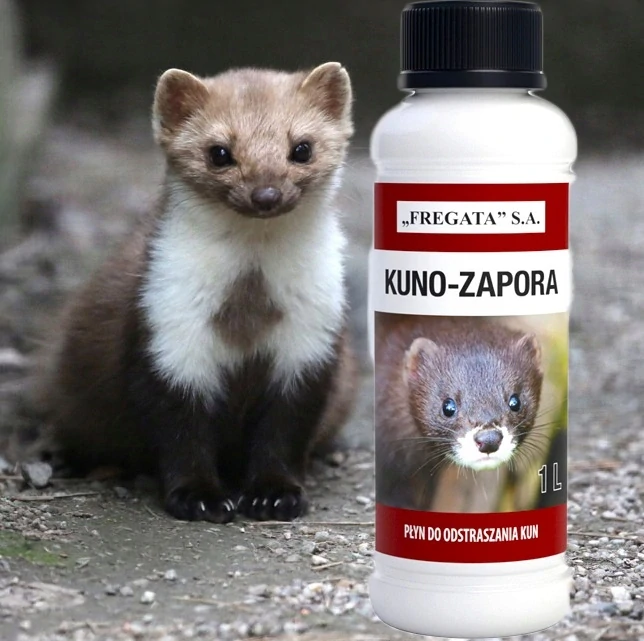 Sada – Veľmi silná látka - stačí jednorazový príjem