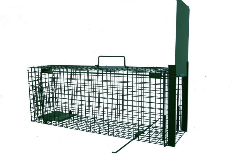 pasca na pasce KUNAS, CAT, RAT atď